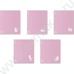 Тетрадь  48л А5+ клетка/пластик обл./ "Brave cats" /фиолетовый /ассорти NEW | Фото 1