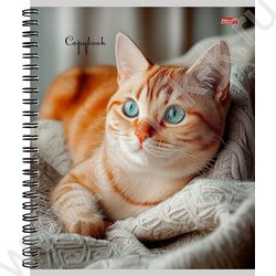 Тетрадь  80л клетка/спираль "Уютные котики-1" ассорти NEW | Фото 2