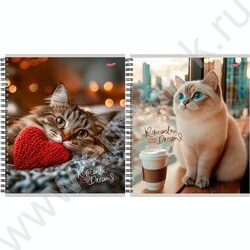 Тетрадь  96л клетка/спираль "Красивые коты" ассорти NEW | Фото 1