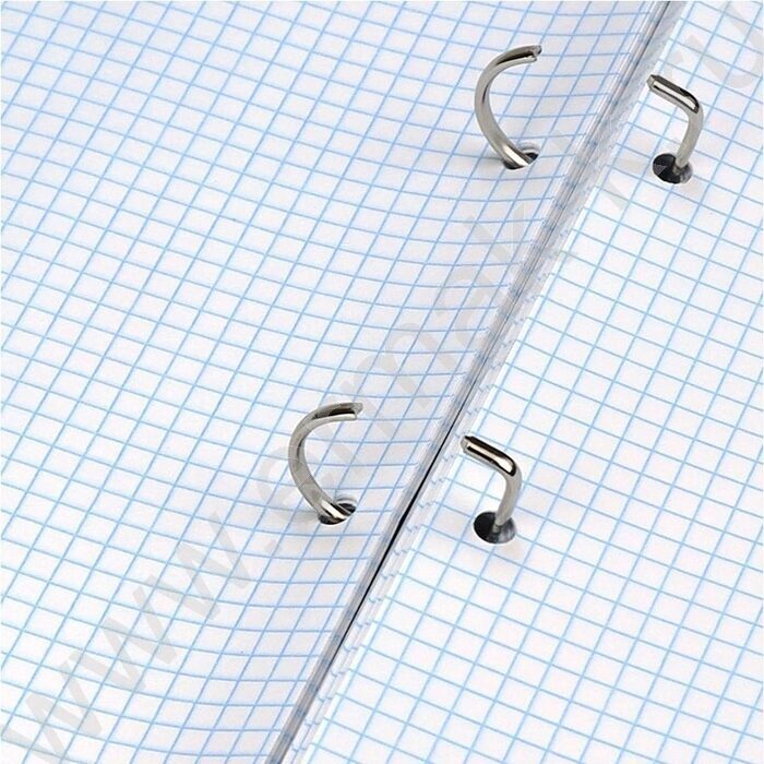 Тетрадь 120л А4 клетка/кольца "Величие природы" | Фото 4