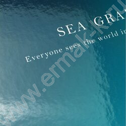 Тетрадь 120л А4 клетка/кольца "Цвет и надпись-1" NEW | Фото 6