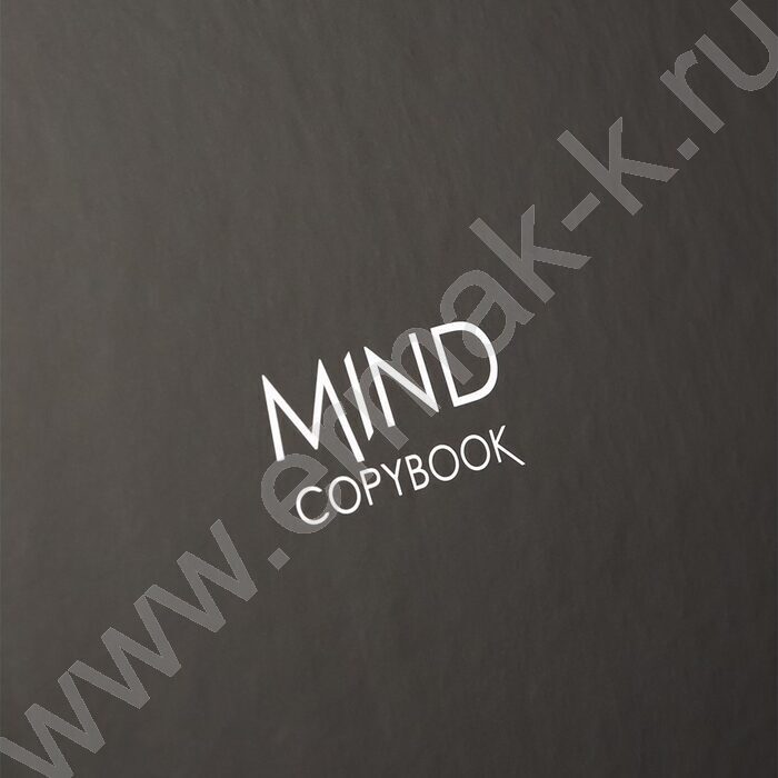 Тетрадь  80л клетка/кольца "Чёрная классика-3" | Фото 6