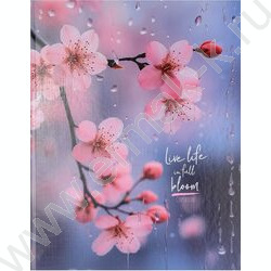 Тетрадь  80л клетка/кольца "Нежная сакура" /глянец/лён NEW | Фото 2