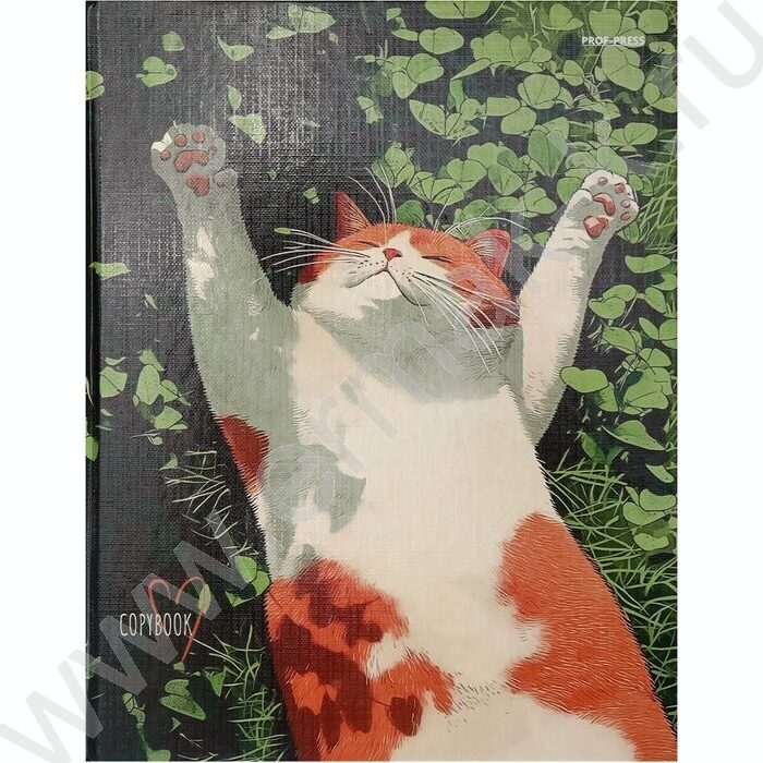 Тетрадь  80л клетка/кольца "Солнечный котик в траве" /глянец/лён | Фото 2