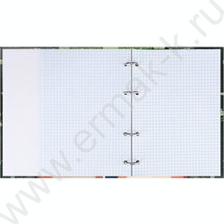 Тетрадь  80л клетка/кольца "Солнечный котик в траве" /глянец/лён NEW | Фото 3