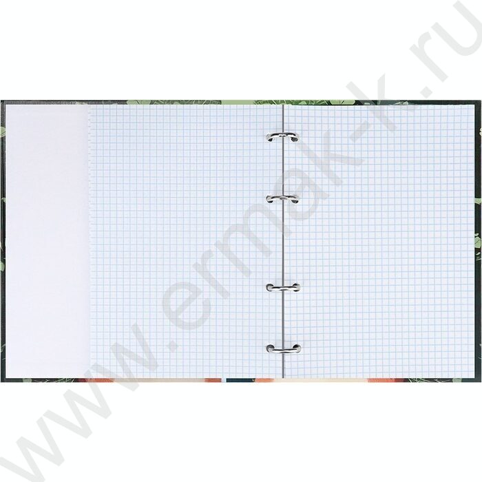 Тетрадь  80л клетка/кольца "Солнечный котик в траве" /глянец/лён | Фото 3