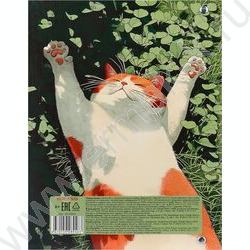 Тетрадь  80л клетка/кольца "Солнечный котик в траве" /глянец/лён NEW | Фото 5