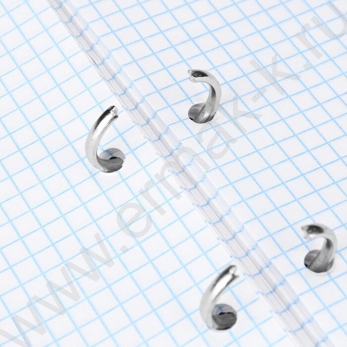 Тетрадь  80л клетка/кольца "Хищный кот" /мат.лам./выб.лак./ | Фото 4