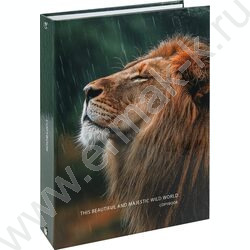 Тетрадь 100л клетка/кольца "Лев под дождём" NEW | Фото 1
