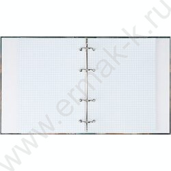 Тетрадь 100л клетка/кольца "Лев под дождём" NEW | Фото 3