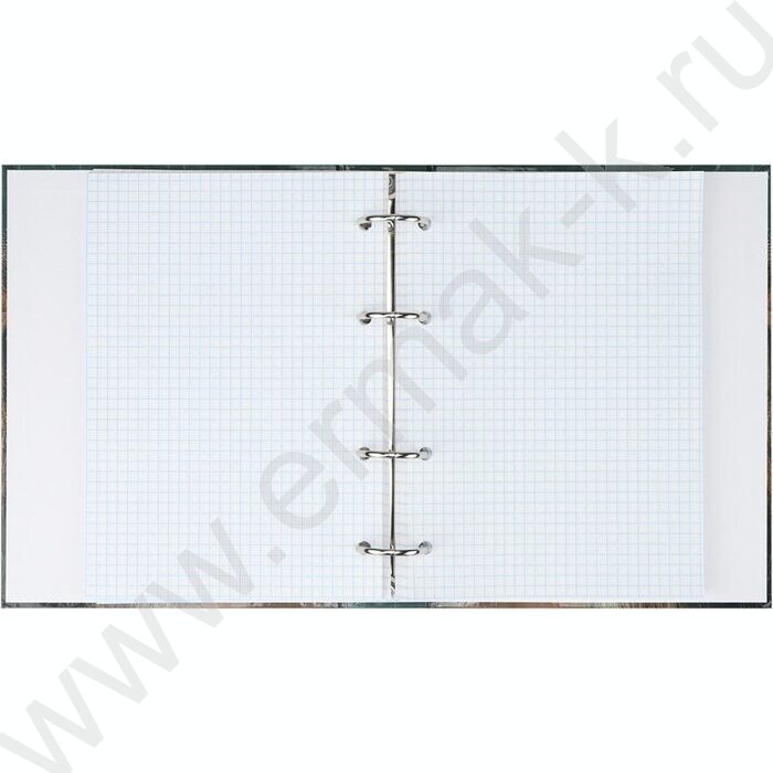 Тетрадь 100л клетка/кольца "Лев под дождём" | Фото 3