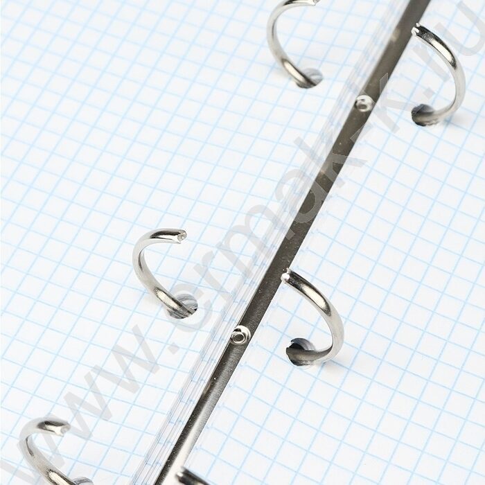 Тетрадь 100л клетка/кольца "Лев под дождём" | Фото 4