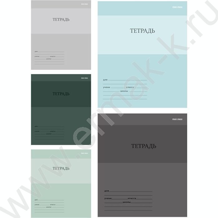 Тетрадь  12л линейка "Однотонный дизайн-3" 5видов | Фото 1