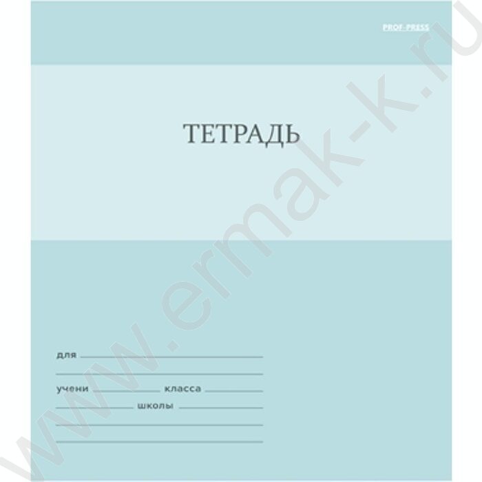 Тетрадь  12л линейка "Однотонный дизайн-3" 5видов | Фото 3