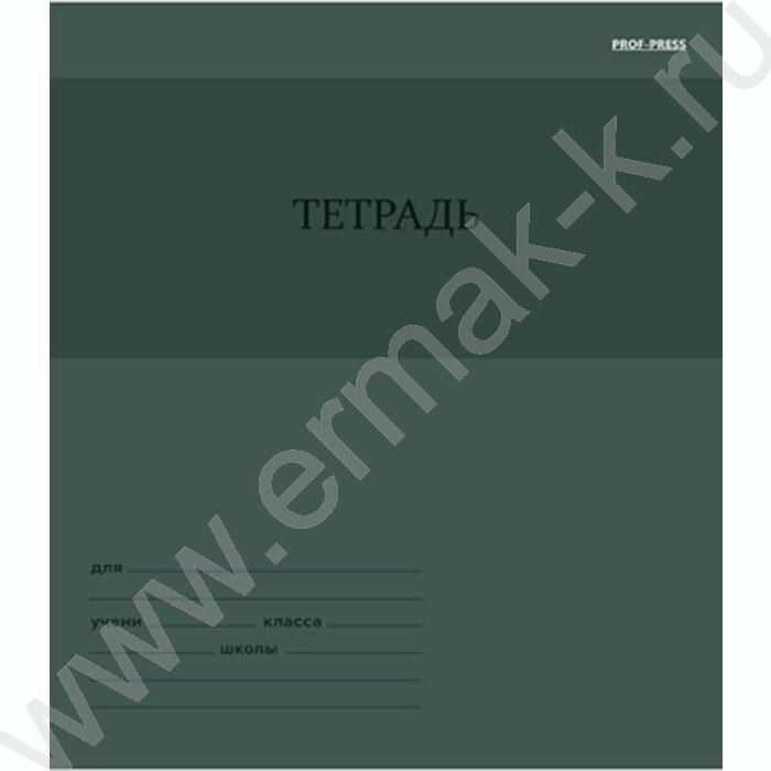 Тетрадь  12л линейка "Однотонный дизайн-3" 5видов | Фото 4