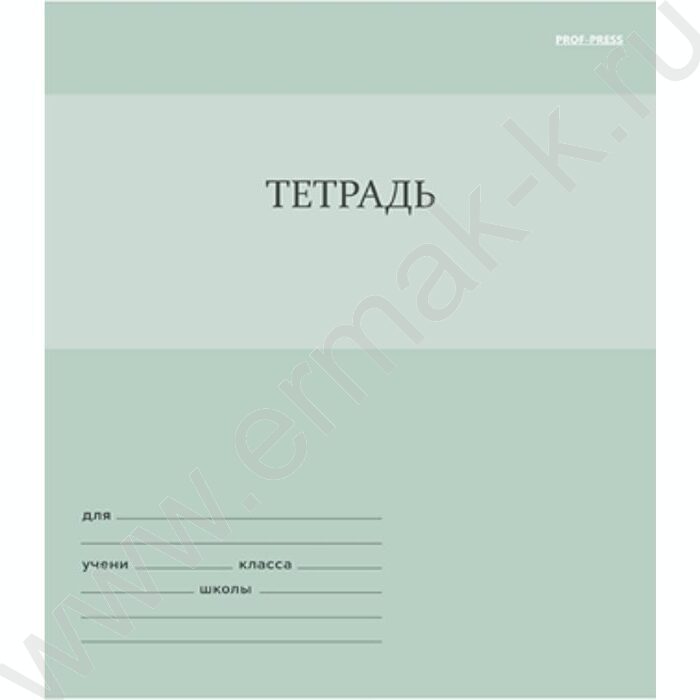 Тетрадь  12л линейка "Однотонный дизайн-3" 5видов | Фото 5