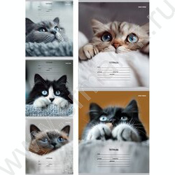 Тетрадь  12л линейка косая дополнительная "Кошачьи мордочки-3" 5видов NEW | Фото 1