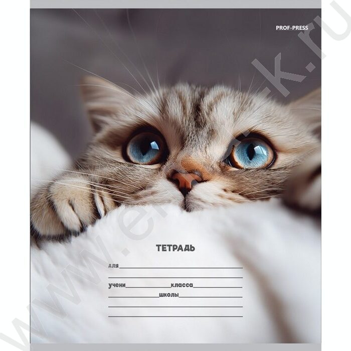 Тетрадь  12л линейка косая дополнительная "Кошачьи мордочки-3" 5видов | Фото 3