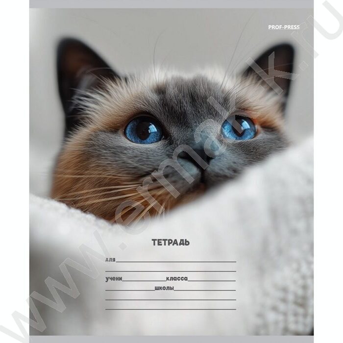 Тетрадь  12л линейка косая дополнительная "Кошачьи мордочки-3" 5видов | Фото 4