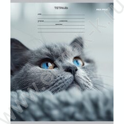 Тетрадь  12л линейка косая дополнительная "Кошачьи мордочки-3" 5видов NEW | Фото 6