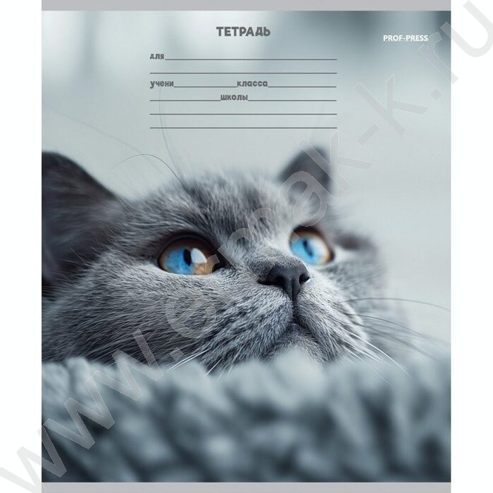 Тетрадь  12л линейка косая дополнительная "Кошачьи мордочки-3" 5видов | Фото 6