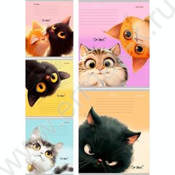 Тетрадь  12л линейка косая дополнительная "Кошачьи мордочки-4" 5видов NEW | Фото 1