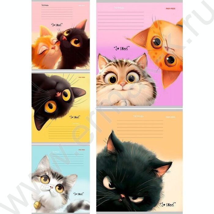 Тетрадь  12л линейка косая дополнительная "Кошачьи мордочки-4" 5видов | Фото 1
