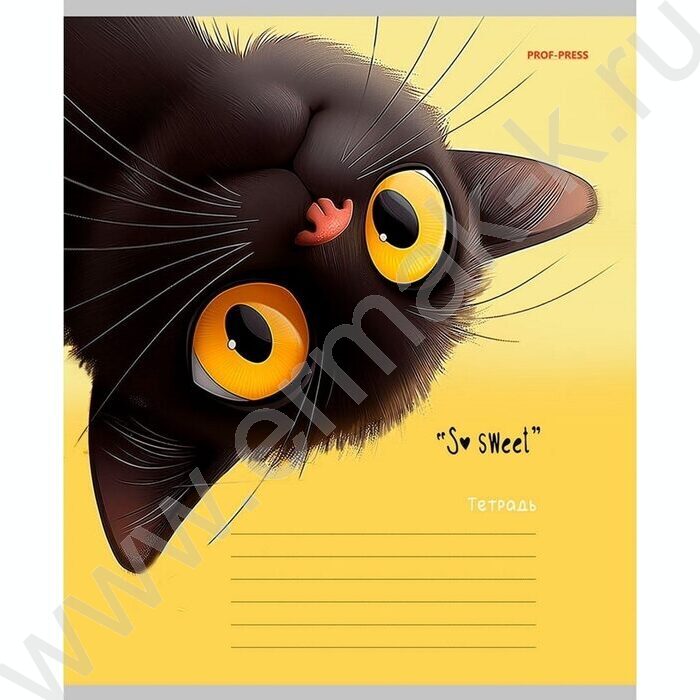 Тетрадь  12л линейка косая дополнительная "Кошачьи мордочки-4" 5видов | Фото 3