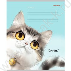 Тетрадь  12л линейка косая дополнительная "Кошачьи мордочки-4" 5видов NEW | Фото 4