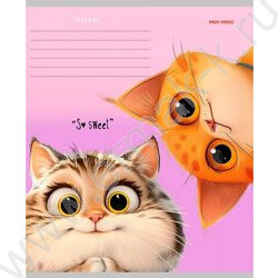 Тетрадь  12л линейка косая дополнительная "Кошачьи мордочки-4" 5видов NEW | Фото 5