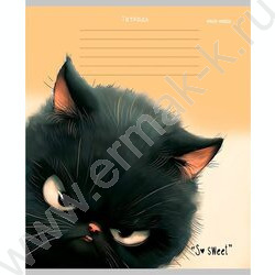 Тетрадь  12л линейка косая дополнительная "Кошачьи мордочки-4" 5видов NEW | Фото 6