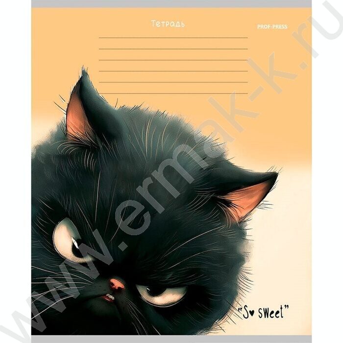 Тетрадь  12л линейка косая дополнительная "Кошачьи мордочки-4" 5видов | Фото 6