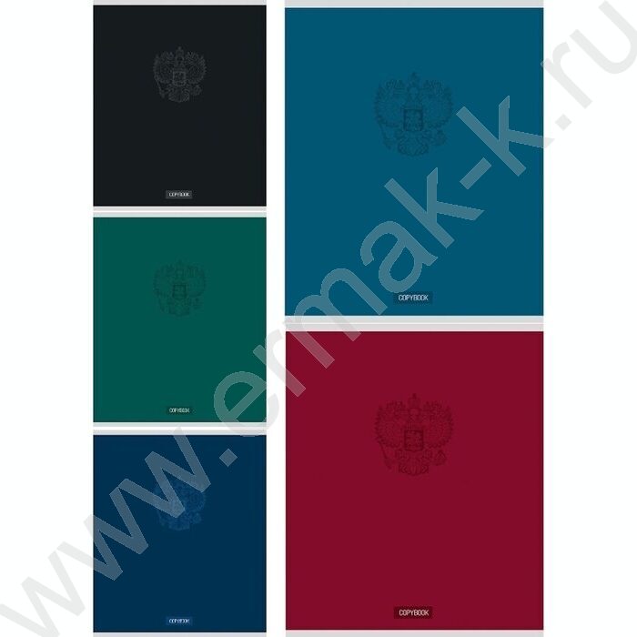 Тетрадь  48л клетка "Герб на однотонном фоне" ассорти | Фото 1