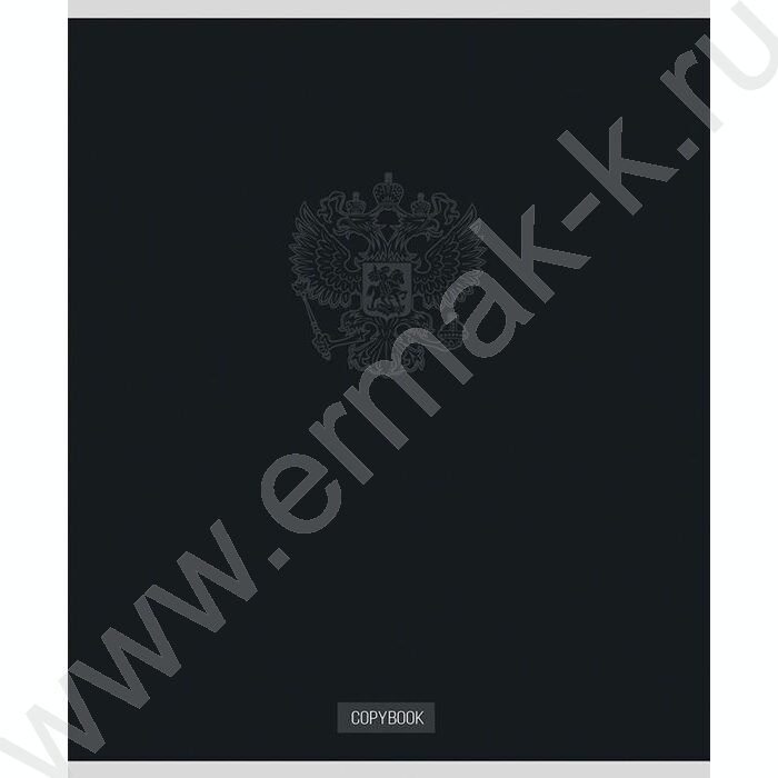 Тетрадь  48л клетка "Герб на однотонном фоне" ассорти | Фото 2