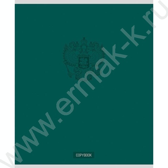 Тетрадь  48л клетка "Герб на однотонном фоне" ассорти | Фото 4