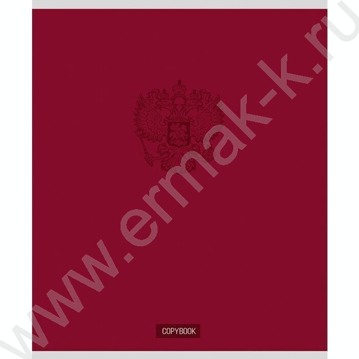 Тетрадь  48л клетка "Герб на однотонном фоне" ассорти | Фото 5