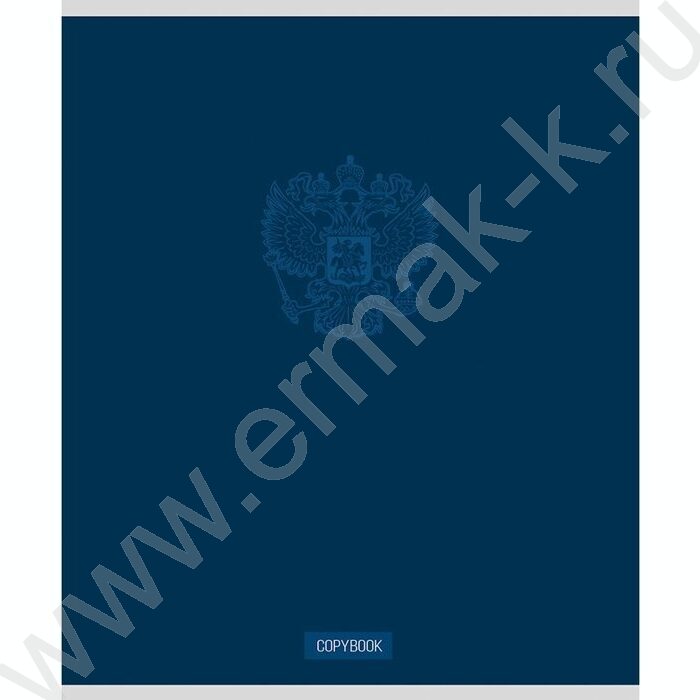 Тетрадь  48л клетка "Герб на однотонном фоне" ассорти | Фото 6