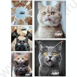 Тетрадь  48л клетка "Забавные коты-4" ассорти NEW | Фото 1