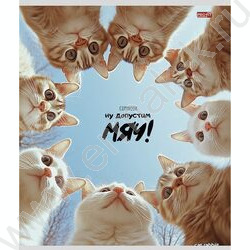 Тетрадь  48л клетка "Забавные коты-4" ассорти NEW | Фото 2
