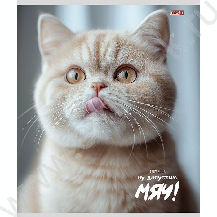 Тетрадь  48л клетка "Забавные коты-4" ассорти | Фото 3