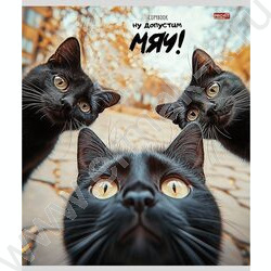 Тетрадь  48л клетка "Забавные коты-4" ассорти NEW | Фото 4