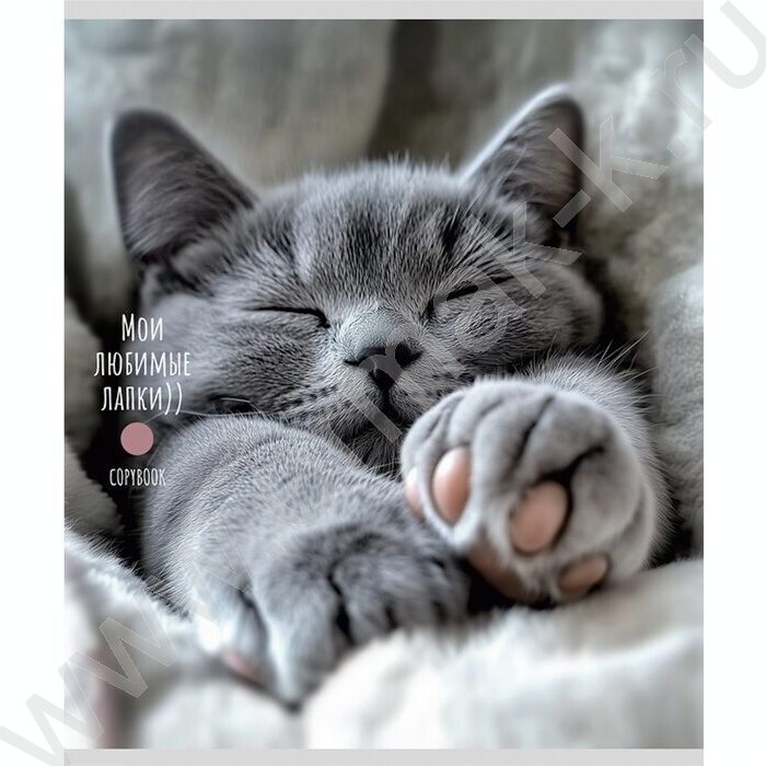Тетрадь  48л клетка "Милые котики-5" ассорти | Фото 2