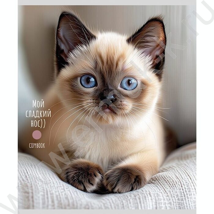 Тетрадь  48л клетка "Милые котики-5" ассорти | Фото 4