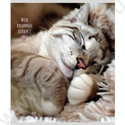 Тетрадь  48л клетка "Милые котики-5" ассорти NEW | Фото 5