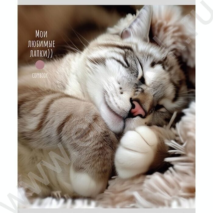 Тетрадь  48л клетка "Милые котики-5" ассорти | Фото 5