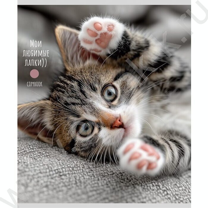 Тетрадь  48л клетка "Милые котики-5" ассорти | Фото 6