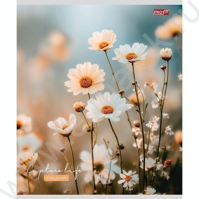 Тетрадь  48л клетка "Нежные цветочки-11" ассорти | Фото 2