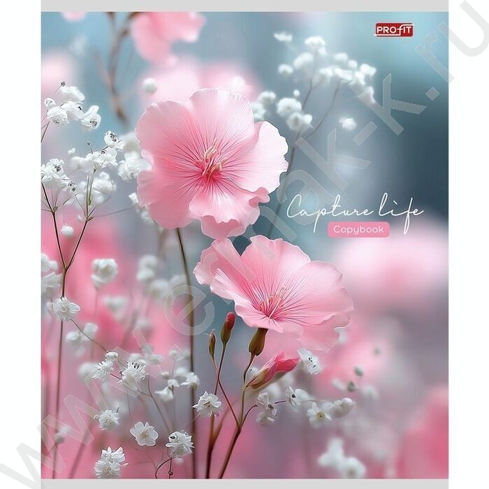 Тетрадь  48л клетка "Нежные цветочки-11" ассорти | Фото 3