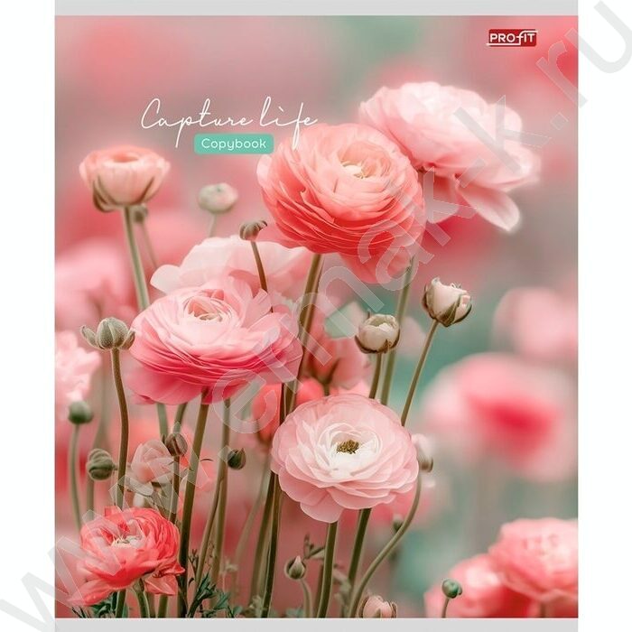 Тетрадь  48л клетка "Нежные цветочки-11" ассорти | Фото 4