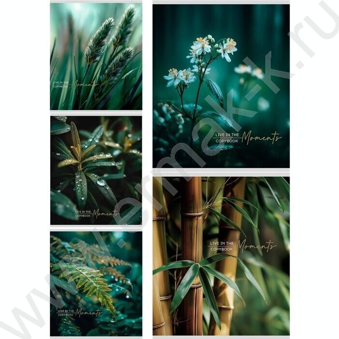 Тетрадь  48л клетка "Растительная тема" ассорти | Фото 1